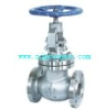 Satinless Steel 2way Globe Valve with Flanges